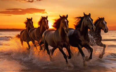 Soñar con caballos